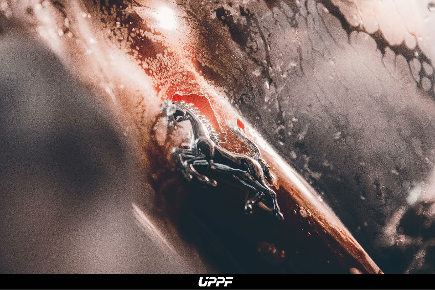 1604110686711946.jpg 5.jpg